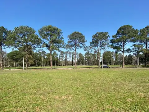 Los Molinos, Ruta 22 KM 184, S3018 Recreo Sur, Santa Fe