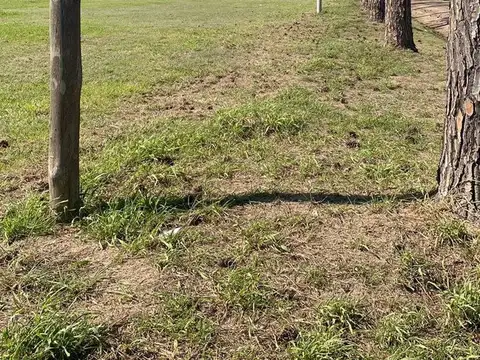 VENTA TERRENO LOS MOLINOS 600M2