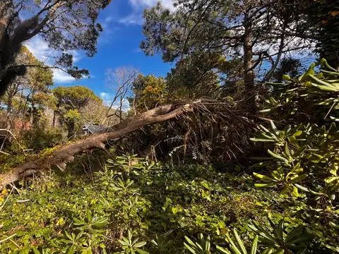 Terreno en Venta en Carilo, USD 170.000