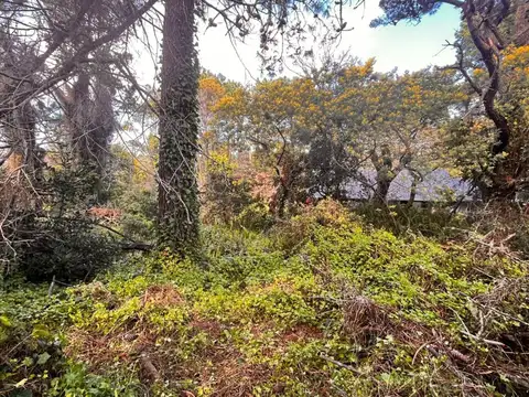 Terreno en Venta de 929,0 m2