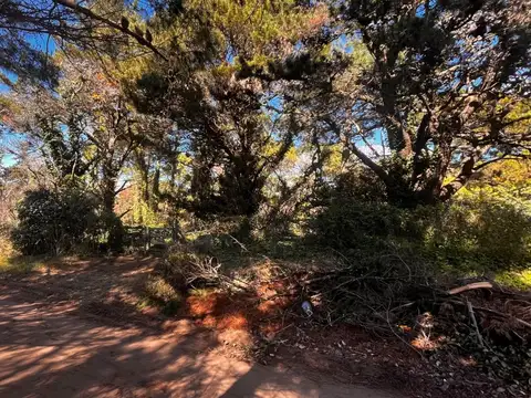VENTA DE LOTE EN CARILÓ PINAMAR. A MTS DEL MAR