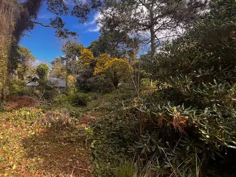 VENTA DE LOTE EN CARILÓ PINAMAR. A MTS DEL MAR