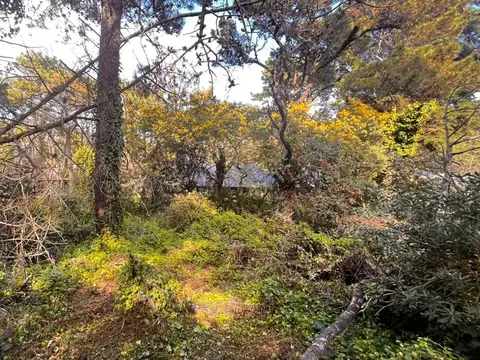 Terreno en Venta en Carilo, USD 170.000