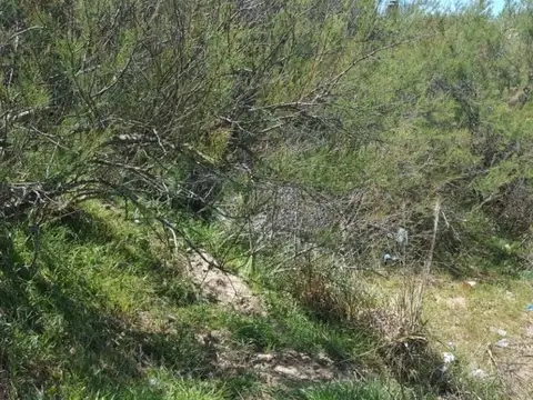 Terreno en Venta de 631,0 m2