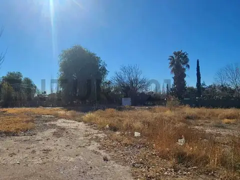 OPORTUNIDAD LOTE EN VENTA en SAN MARTIN Mendoza