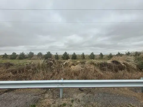 Terreno en Venta de 8000,0 m2