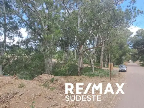 VENTA LOTE EN PEHUENCO