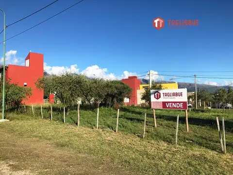 Lote Avenida Comercial