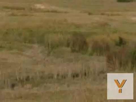 Río Grande Del Sur