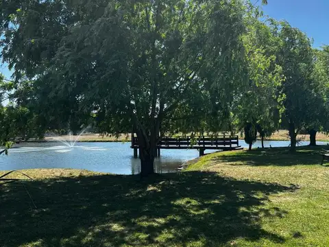 Haras San Pablo