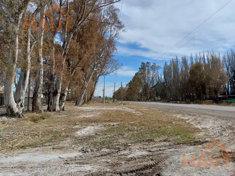 Vista Alegre Norte