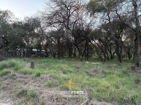 20 De Junio