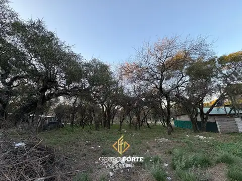 20 De Junio