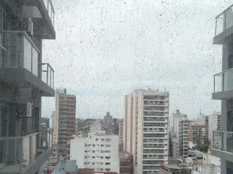 España 148 , Piso 13