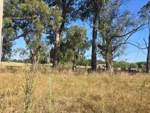 Terreno en Venta de 35389,0 m2