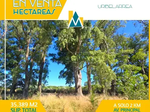 HECTAREAS -TERRENO EN VENTA EN CAÑUELAS