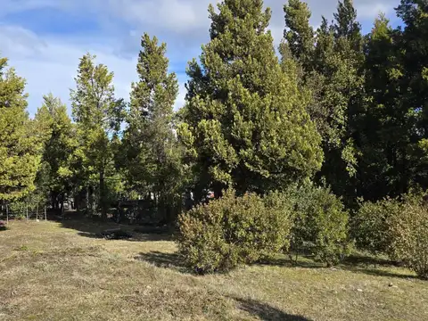 Casa en Alquiler de 3 dormitorios
