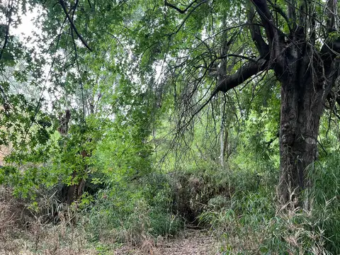 Terreno en Venta de 600,0 m2