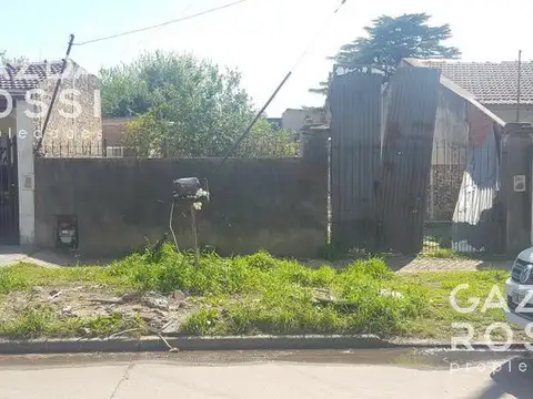 AMENEDO 3485