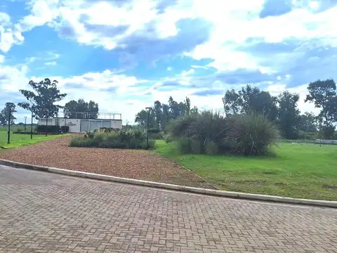 TERRENO EN LOS DOMINGOS