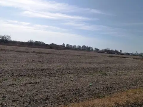 9 de Julio 100