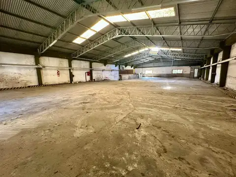 Juan Manuel Blanes 300