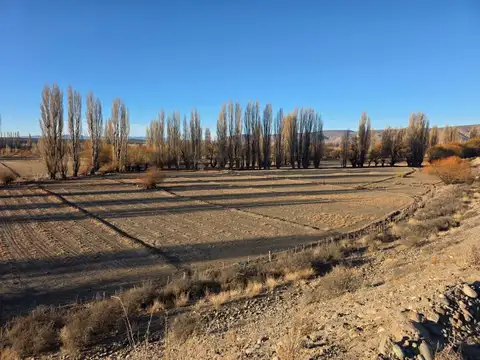 Ruta Provincial Nº 12