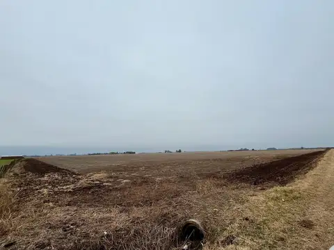 Campo SOLDINI RUTA 14 