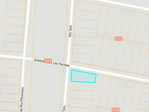 Rio Toro Mza 36, Parcela 20