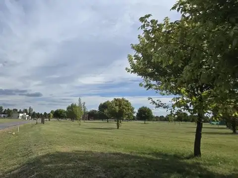 Terreno en Venta en Alto Los Cardales, Campana