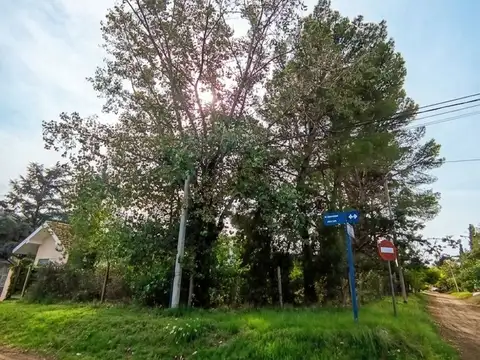 Terreno en Villa Amalia