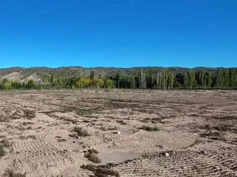 Terreno en Venta de 778,0 m2