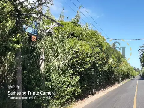 Terreno en Venta de 29515,0 m2