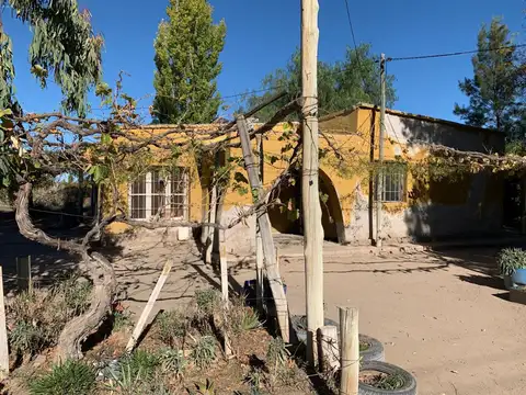Venta finca 79 ha - san martin - mendoza