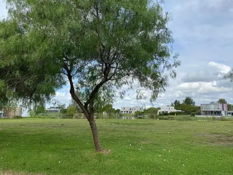 benteveo 2521_