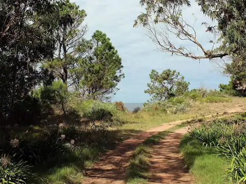 Sauce del Portezuelo · Maldonado, Uruguay