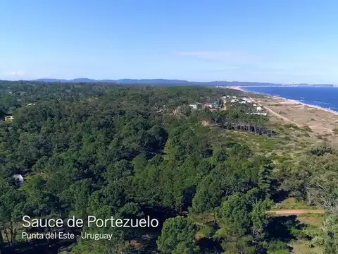 Terreno en venta - Uruguay - Sauce de Portezuelo