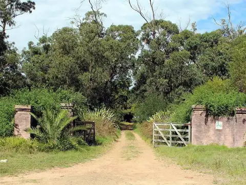 Terreno en venta - Uruguay - Sauce de Portezuelo