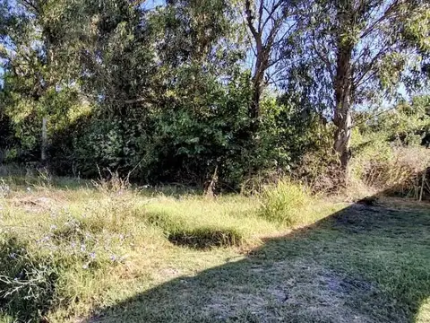 Venta de terrenos en Sicardi
