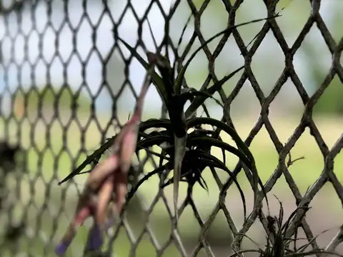 Quinta en Venta en Matheu, USD 140.000