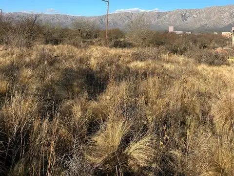 Terreno en Venta en Las Rabonas, San Alberto
