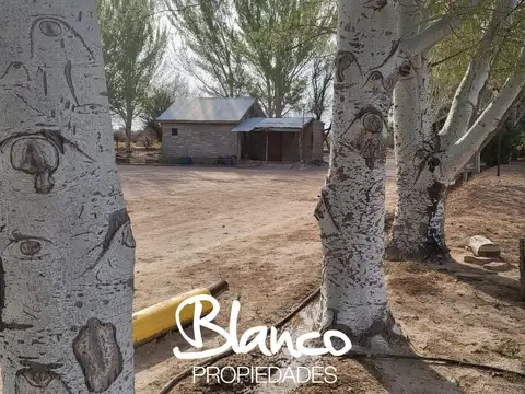 Campo  en Venta en 25 De Mayo, Puelen, La Pampa