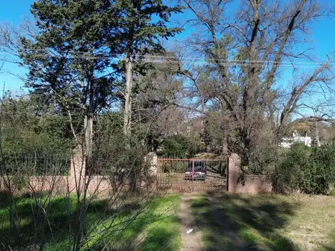 Av. Int. José Cibelli (Ruta 33) 1500