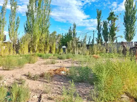 Terreno en Venta 12,35  mts Frente
