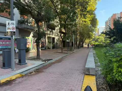 NEUQUEN 700, Piso 1