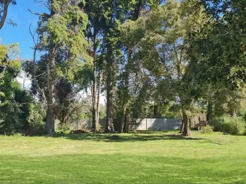 Lote en San Matias