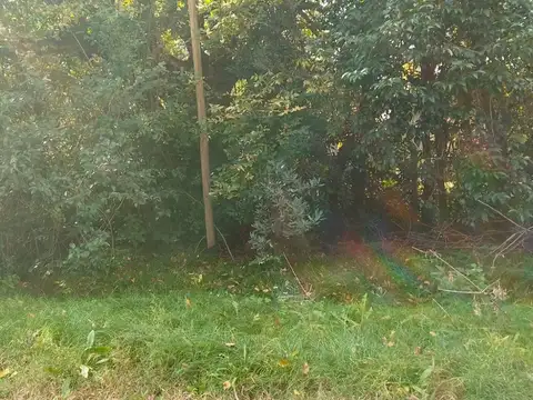Seguí