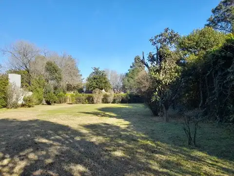 Terreno en Venta 44  mts Fondo