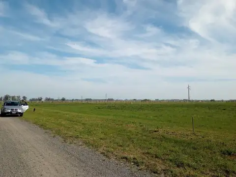 Terreno en Venta de 1000,0 m2