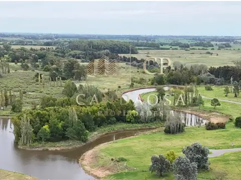 Campo Cardales 100